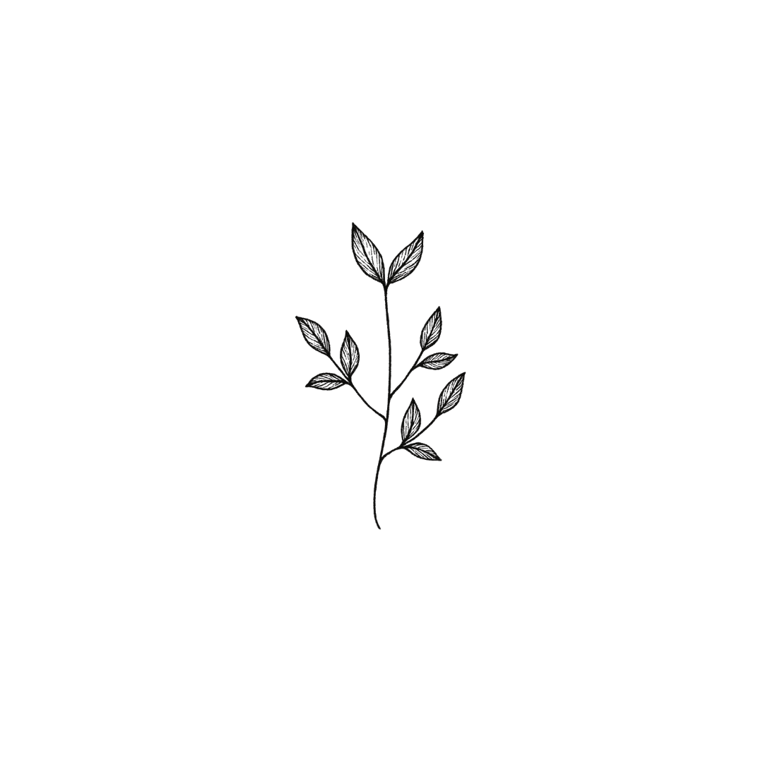 Botanical Branch - A Symbol of Growth & Simplicity by DOVIANA Tattoo Studio (height 0.6‘’)