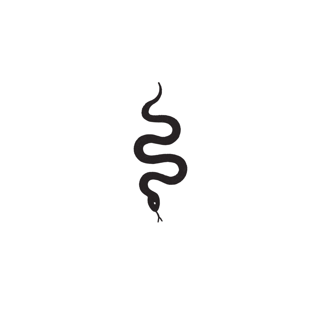 Shadow Serpent — Smooth Moves, Silent Power by DOVIANA Tattoo Studio (height 0.7‘’)